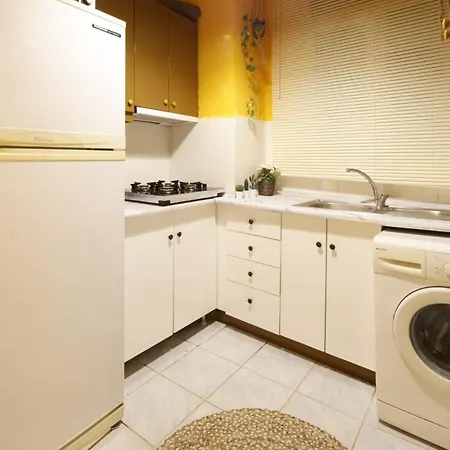 Vibrant Flat With Excellent Location In Beyoglu Apartment